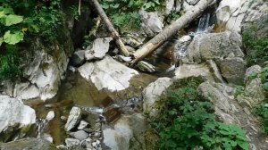 ВИДЕО  ПВН  ББ   (1633)