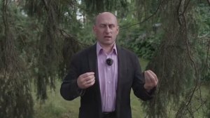 Независимый Лондонский суд. Гениальная схема