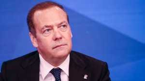 Медведев удивился миротворческим заявлениям Писториуса и Стубба