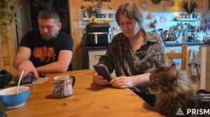 Запись стрима с ютуба от 22.12.25. Общаемся, распаковываем лампу, жарим пельмешки