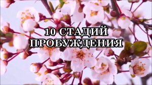 10 СТАДИЙ ПРОБУЖДЕНИЯ, ЧЕРЕЗ КОТОРЫЕ ПРОХОДИТ КАЖДЫЙ. БОЛЬ, СВЕТ И СЛИЯНИЕ С ИСТОЧНИКОМ.