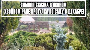 "Зимняя сказка в южном хвойном раю: Прогулка по саду в декабре!"