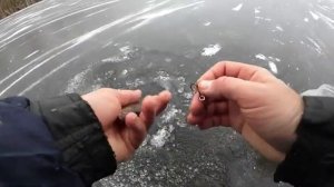 ПЕРВЫЙ ЛЕД 2025 2026! Рыбалка на жерлицы! Флаги стреляют один за одним!