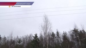 Живая ёлка на праздник: где и как срубить, не нарушая закон