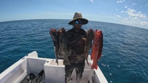 Подводная охота на Большом Барьерном Рифе / Северный Квинсленд.