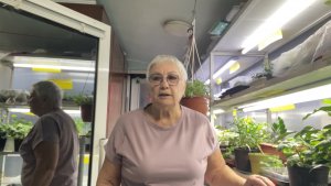 Как подросла петуния за неделю 🤔. Всходы Гацании и Колеусов. Лунный календарь на январь месяц 2026