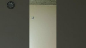 Яндекс Алиса