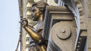 Главреда "Важных историй"* иноагента Анина** лишили гражданства России