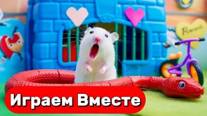УМНЫЙ ХОМЯК СБЕГАЕТ ИЗ СЕКРЕТНОЙ ТЮРЬМЫ С ЛОВУШКАМИ 🐹 ВИДЕО ПРО ХОМЯКА ДЛЯ ДЕТЕЙ часть 3