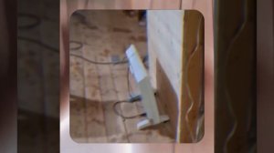 1000043323.mp4 (Собака наблюдает за лайфхаками при строительстве дома А-фрейм)