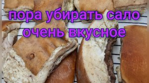 Продолжение видео, засолка сала/Забрали Артёма из сада/Зима вступила в свои права.