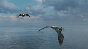 Дикий робот (2024)