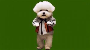 Щенок плачет_encoded