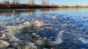 ПЕРВЫЙ ЛЁД В АСТРАХАНИ! НАКОНЕЦ-ТО ЗИМНЯЯ РЫБАЛКА!