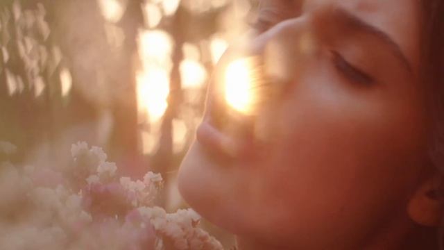 Нет покоя смотреть онлайн