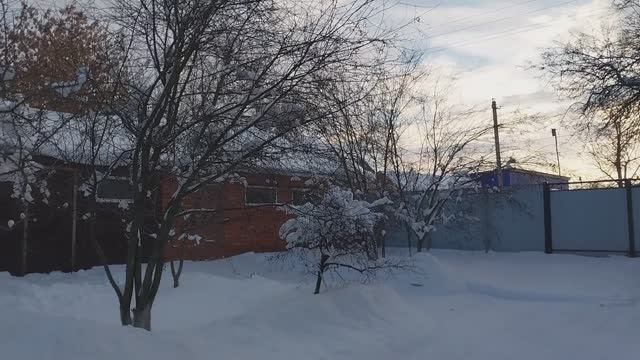 Жизнь в Деревне. Хроника дня. смотреть онлайн