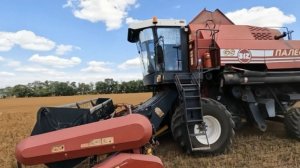 Профессор Хомяков назвал впечатляющим урожай масличных культур 2025-го года