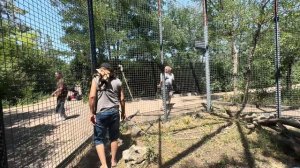 Анфиса побежала следом за папой Владом кормить попугаев!Ох и балует ее Влад