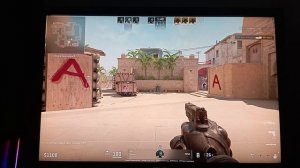 играю в кс напарники