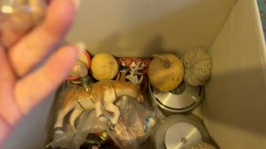 Этажерка. Коллекция бультерьеров. Игрушки. И в подъезд шарик