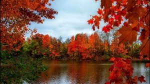 Слайд песня -Осенняя песня- моя с ИИ