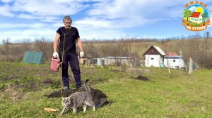 Жизнь в деревне. Осенние работы в саду и в огороде. Посадили персики и фундук.