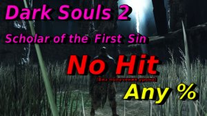 Dark Souls 2 No Hit Any%