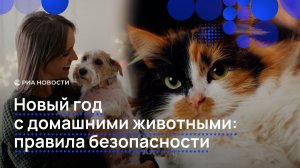 Новый год с домашними животными: правила безопасности
