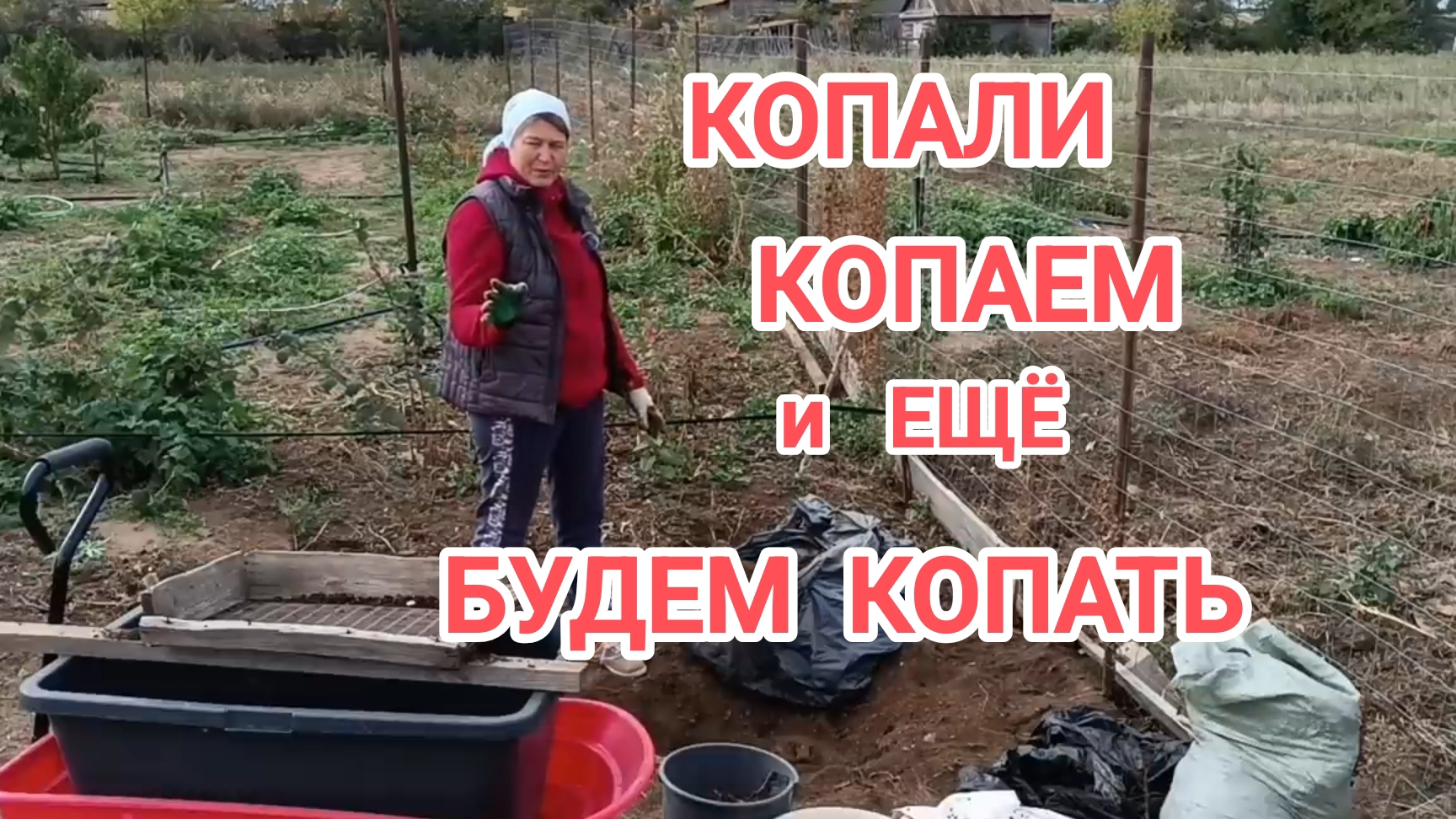 Пробурили скважину/пересадка роз/много личинок бронзовки и шершней/вареники с пасленом. 72 серия смотреть онлайн