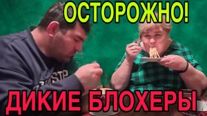 ДА ВСЁ ОНА СОЖРАЛА. ПИРАТСКАЯ ЖИЗНЬ. ОБЗОР.