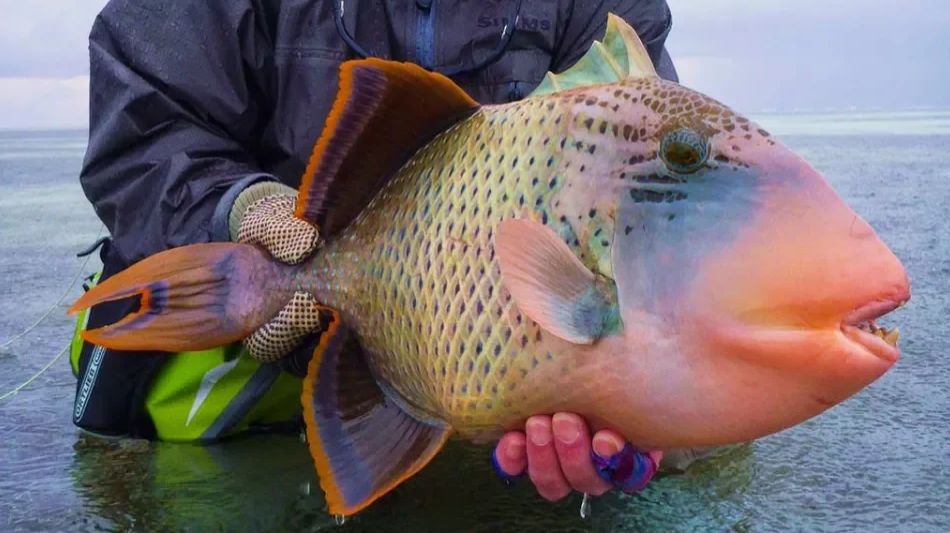 Новая папина любовь. Март 2019. смотреть онлайн