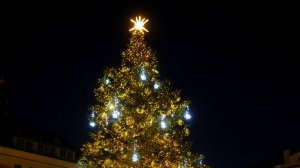 Огни на главной елке Эстонии зажглись только после призыва на русском языке