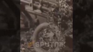 "Редкая птица долетит до середины..." 
23 декабря 1943 года завершилась битва за Днепр.