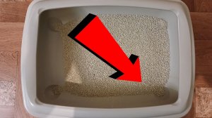 Как избавиться от запаха кошачьей мочи За 3 Секунды...!..