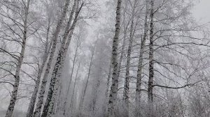 Развозим заказы с утками. Привезли недорогую солому.