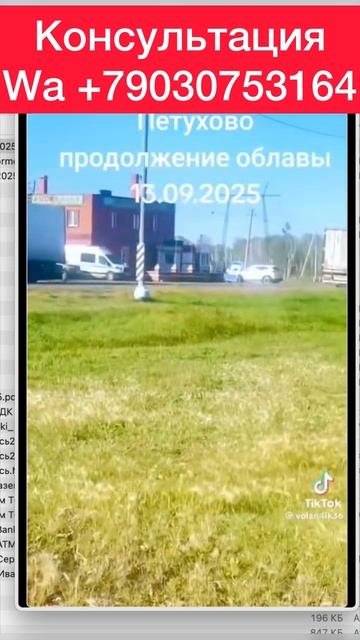 Проблемы с карго что делать #карго #китай смотреть онлайн