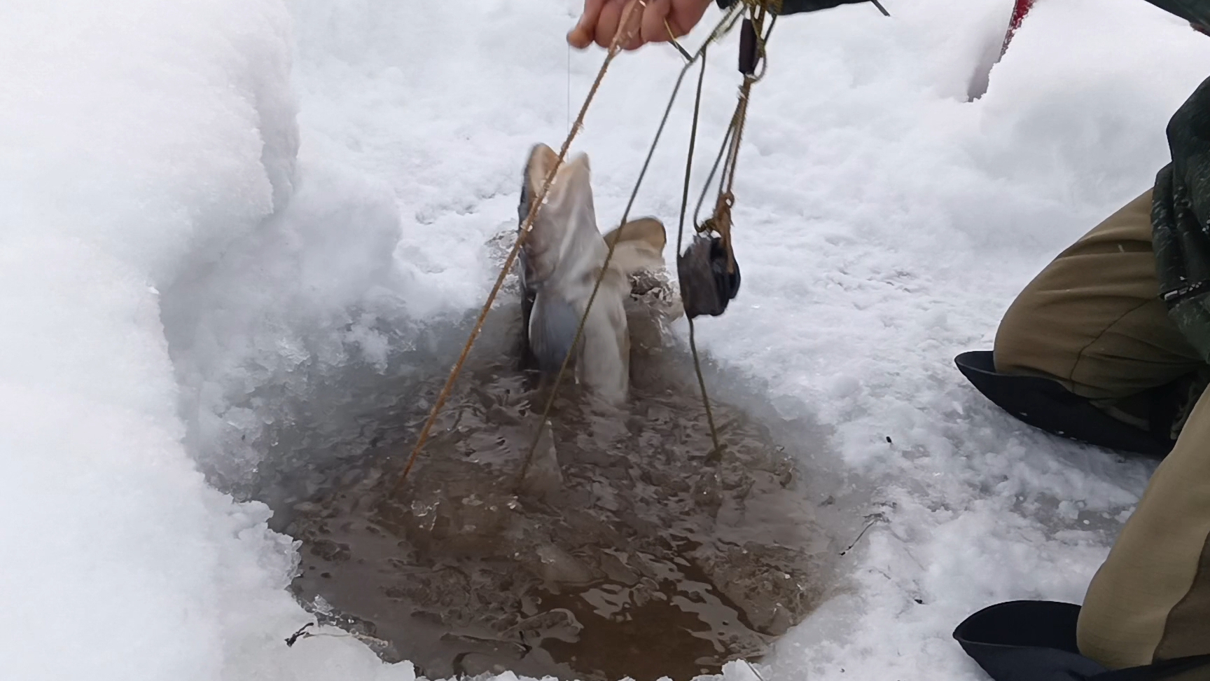 Перемет . Проверка 23.12.25г. смотреть онлайн