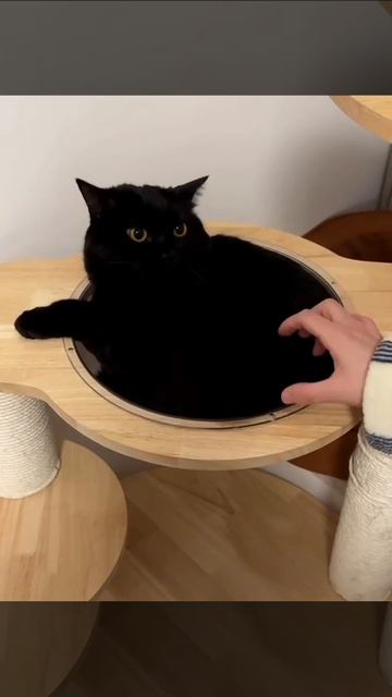 Недовольная черная дыра