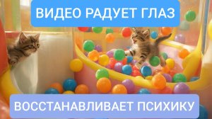 РАССЛАБЛЯЮЩЕЕ ВИДЕО | АСМР