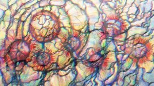 НЕЙРОГРАФИКА. НОВОГОДНИЙ КАТАЛОГ!