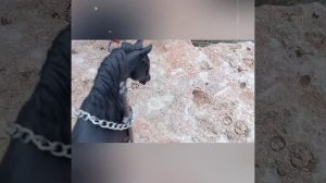 магический меч✨✨✨🌟⭐💫