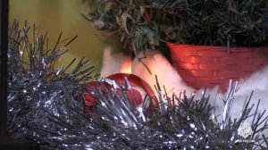 Эксперименты перед новым годом в ИПЛ Хабаровска