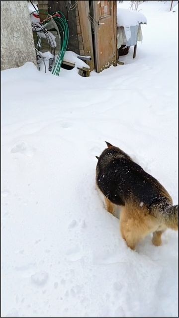 08 апреля 2024 года. Вспомним прошлый год весну. смотреть онлайн