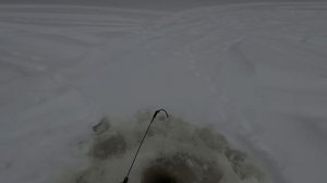 Рыбалка Зимой..ЯЗЬ прет..(1)