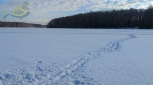 5 секретов ловли плотвы зимой. Как на что и где ловить плотву зимой?