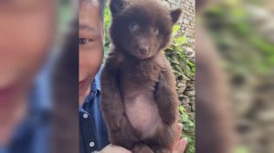 Смешные собаки, коты и другие животные (ч. 7)