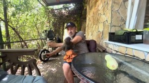 У нас за одно утро уже  ВТОРОЙ РАЗ уносят котенка Мону, Анфиса РУГАЕТСЯ!!!