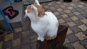 Унылая пора.