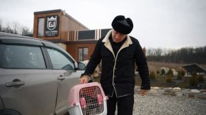 Наш пушистый студент-енот стал знаменитостью!