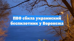 ПВО сбила украинский беспилотник у Воронежа